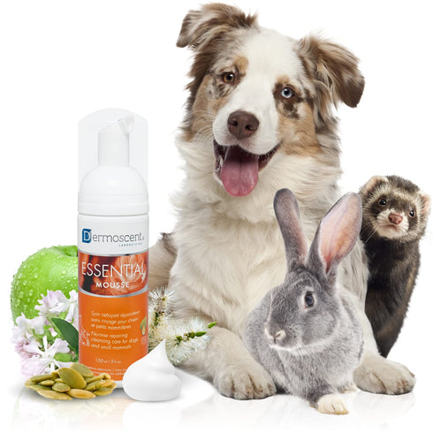 Dermoscent Essential Mousse 150ml Dry Shampoo for Dogs & Small Mammals, Rinse-Free Foam for Odour Control.