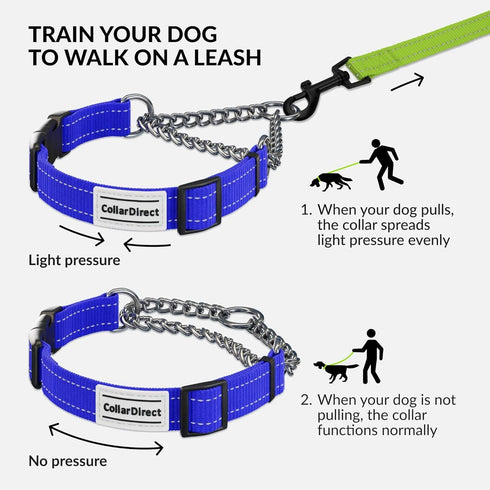CollarDirect Martingale Dog Collar with Stainless Steel Chain, Reflective Quick Release Buckle for Medium Dogs, Blue