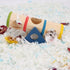 Funny Gym Playground Seesaw Tunnel Toy for Dwarf Hamsters