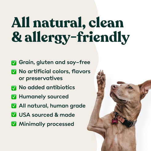 Freeze Dried Dog Treats - Beef Liver, Raw Single Ingredient for Snacks, Training, Dog Food Toppers, 2 oz