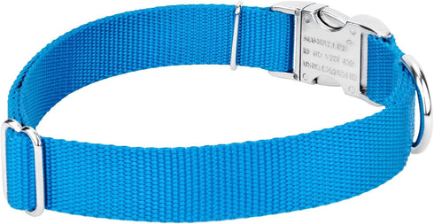 Country Brook Petz Premium Nylon Dog Collar with Metal Buckle, Large, 1 Inch, Ice Blue