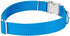 Country Brook Petz Premium Nylon Dog Collar with Metal Buckle, Large, 1 Inch, Ice Blue