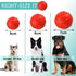 Rubber Balls for Dogs - High Bounce Chew Resistant Dog Training Ball Sets for Medium Large Dogs 60+ lbs
