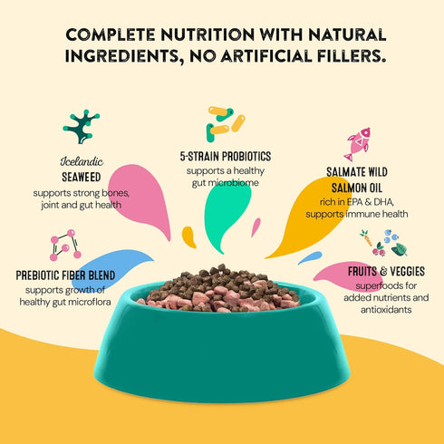 60 Count Daily Wellness Supplements for Dogs | Probiotic & Prebiotic Benefits with Fish Oil & Seaweed to Keep Your Dog