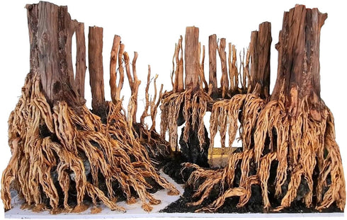 Natural Red Moor Driftwood Mix for Aquarium Decorations, 150 g Moss Ball for Terrarium Fairy Garden Freshwater Planted