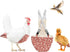 Chicken Diapers Duck Diaper Bird Diapers Diaperalls for Hens, Roosters, Ducks, Ducklings,