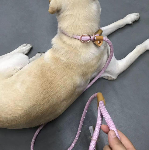 6FT Reflective Slip Leash for Large Medium Dogs, Non Slip Training Slip Leash for Dogs