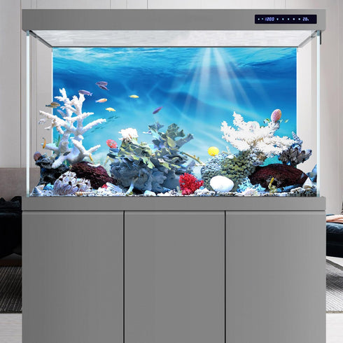 AWERT 36x20 inches Vinyl Undersea Theme Aquarium Background with Colorful Coral and Tropical Fish