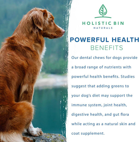 Canine Chlorella Tablets, Natural Dog Breath Freshener & Immune Booster Supplement, 100 Vegan Tablets