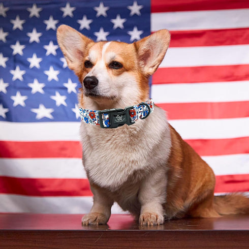 Elegant Little Tail Holiday Dog Collar, Adjustable Independence Day Design for Small Medium Large Dogs