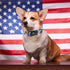 Elegant Little Tail Holiday Dog Collar, Adjustable Independence Day Design for Small Medium Large Dogs