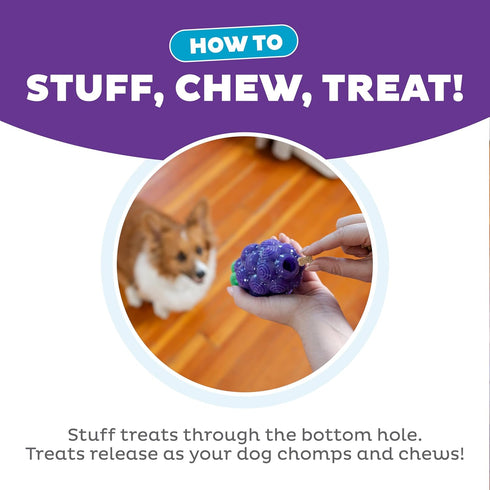 Outward Hound Dental Grapes Dental Chew Toy, Interactive Treat Stuffer, Medium, Purple