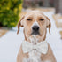 KOOLMOX Adjustable White Dog Collar Bow Tie, 2-Pack for Medium and Large Dogs, Cats, Wedding Costumes
