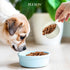 Plexon 1.5 7 lbs, Metal Dog Food Storage Container with Scoop - Small Dog Food Container Holder Treat Jar Bin with Lid