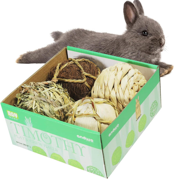 andwe Small Animals Play Balls, Rolling Chew Toys & Gnawing Treats for Rabbits, Guinea Pigs, Pack of 4