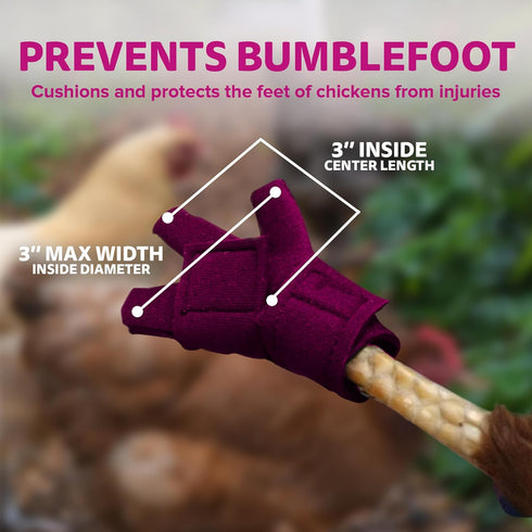 3" Chicken Shoes for Injured Feet Protective Neoprene Footwear for Chicken, Open-Toe Design for Bumblefoot Relief, Made