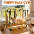 8 Hammock Puppy Play Gym with Hanging Toys, Indoor Puppy Jungle Gym with Interactive Dog Enrichment Toys.PVC Frame
