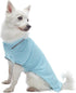 Blueberry Pet Back to School Dog Polo Shirts - 2-Pack Cotton Outfit for Small Pets in Sky Blue + Light Grey