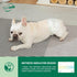IMMCUTE 100 Disposable Male Dog Diapers Ct, Male Dog Wraps with Wetness Indicator, Adjustable Puppy Diapers Male
