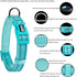 Reflective Nylon Dog Collar - Adjustable Neoprene Padding for Small Dogs (9.8"-15", Teal)