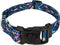 Country Brook Petz Deluxe Dinosaurs Dog Collar, Made in The U.S.A., Critter Corner Collection (1 Inch, Large)
