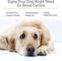 Rx Vitamins Rx Renal Canine Kidney Support for Dogs - Milk Thistle Extract, Green Tea, & Cordyceps Capsules, 120 ct