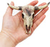 Bearded Dragon Tank Decor Accessories, Resin Cattle Skull Reptiles Hideouts for Fish Aquarium