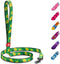 WAUDOG Nylon Dog Leash for Small Medium Dogs | 4 Ft Strong Heavy Duty Leash for Large Breed Dogs