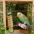 Yeqeyiq Millet Holder for Bird Cage, Bird Foraging Toy Feeder for Parrots Parakeet Cockatiel, Stainless Steel Bird