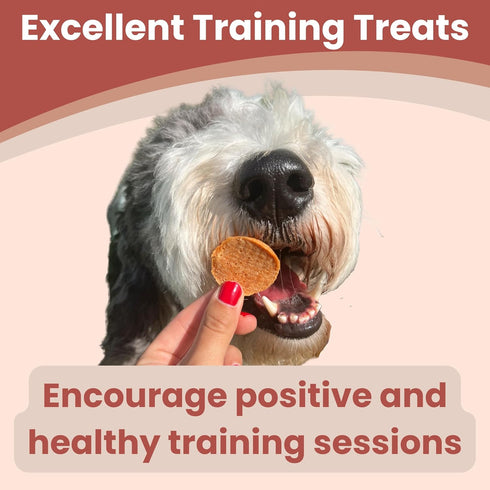 Dog Training Treats - Turkey Chips, Single Ingredient, All Natural, Healthy for Small, Medium, Large Breeds