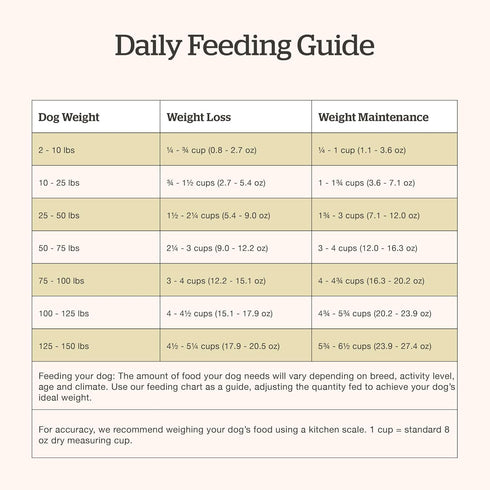 Now Fresh Dry Dog Food for Seniors, Turkey, Salmon & Duck Recipe, 12 lb - Grain Free, Real Meat & Fish