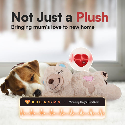 ALL FOR PAWS Heartbeat Puppy Toy for Dogs, Anxiety Relief and Sleep Aid, Plush Heart Beat Snuggling Bear for Small
