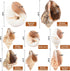 11PCS Hermit Crab Shells, Natural Sea Conch Size 1.5"-3.5" for Small to Medium Crabs