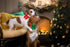 Maca Bates Christmas Dog Collar with Bow Tie - Adjustable Breakaway Red Green Collars for Small Medium Large XL Dogs