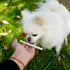 MON2SUN Dog Rawhide Twist Sticks, Natural 5 Inch Thin Sticks, 60 Count for Puppy and Small Dogs
