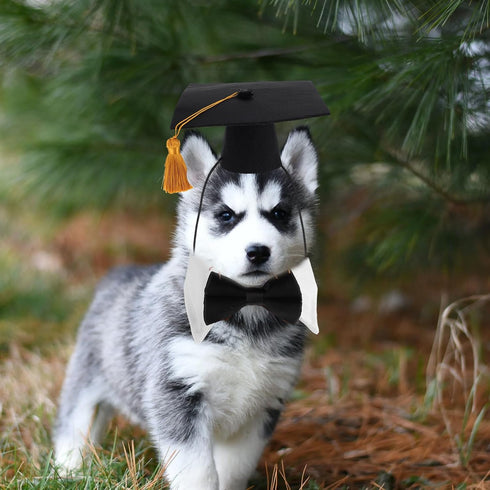 LUOZZY 4 PCS Pet Graduation Caps with Bow Tie, Small Dog Graduation Caps with Red/Gold Tassel, Costume Accessory