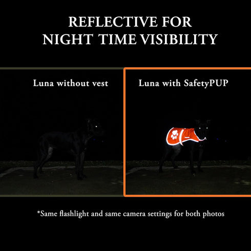 Reflective Dog Vest, Hi-Visibility Fluorescent Blaze Orange Vest to Protect Your Dog from Motorists & Hunting Accidents