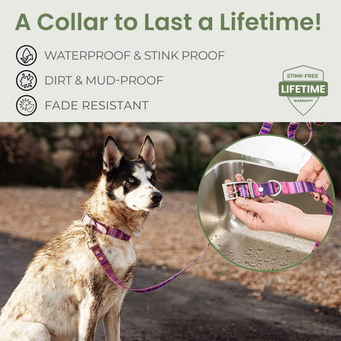 Waterproof Dog Collar, 100% Washable, Odor Proof, Easy to Clean, Quick-Dry, Soft Flexible Durable with Zinc Alloy