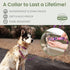 Waterproof Dog Collar, 100% Washable, Odor Proof, Easy to Clean, Quick-Dry, Soft Flexible Durable with Zinc Alloy