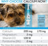 Calcium Now - Oral Calcium for Whelping Dogs - Dog & Cat Calcium Supplement Paste, Vanilla, 30 ml Paste (Pack of 2)
