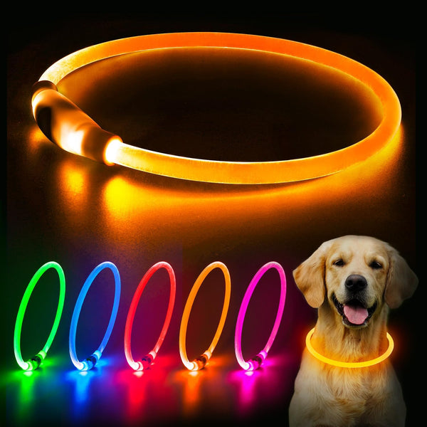 Flashseen LED Dog Collar - USB Rechargeable Glowing Lighted Collar, Water-Resistant TPU Safety Lights for Dogs
