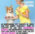 Omega 3 Alaskan Salmon Oil Treats for Dogs, 30 Fish Oil Chew Supplement for Skin and Coat Health