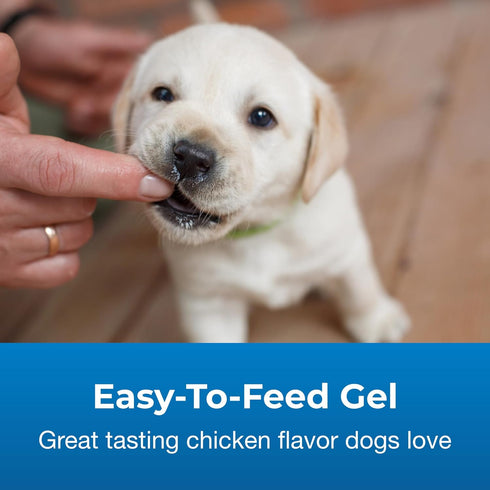 High Calorie Gel Supplement for Dogs - Pet-Ag, 5 oz, Chicken Flavor, Easy to Digest for Dogs 8 Weeks and Older