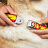 Dog Collar Seatbelt Buckle The Flash Bolt Stripe Reds Yellows, 11 to 17 Inches, 1.0 Inch Wide