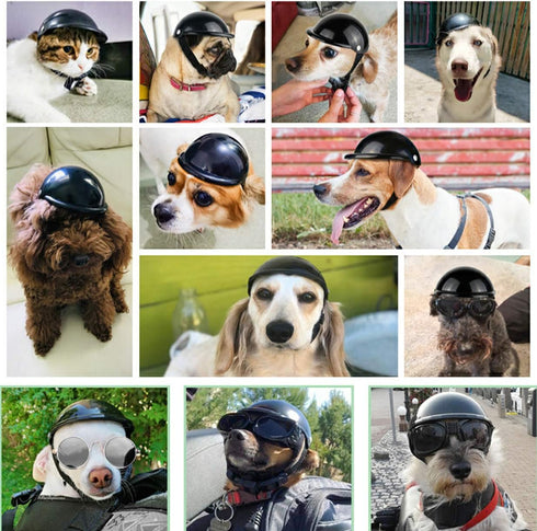 Dog Helmet, Pet Motorcycle Safety Cap for Biking, Small Doggie Puppy Helmet, Black