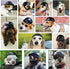 Dog Helmet, Pet Motorcycle Safety Cap for Biking, Small Doggie Puppy Helmet, Black