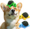 Turtle Squeaky Dog Toys with Ball - 2-in-1 Plush Toys for Small Breeds, BPA-Free Rubber & Soft Fabric for Interactive