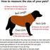 SILD Pet Clothes Dog Jeans Jacket, Cool Blue Denim Coat for Small Medium Dogs, Classic Puppy Hoodies
