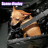 UHANBUT 1PC) Pet Car Seat, Breathable & Waterproof Oxford Dog Car Booster Seats with Seat Belt and Mesh Window