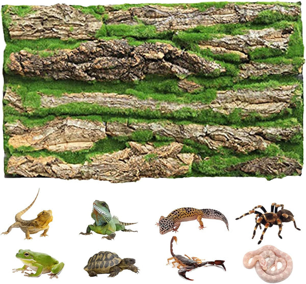 PINVNBY Reptile Cork Terrarium Background, Natural Bark Backdrop with Artificial Moss, 15.75"×11.8"
